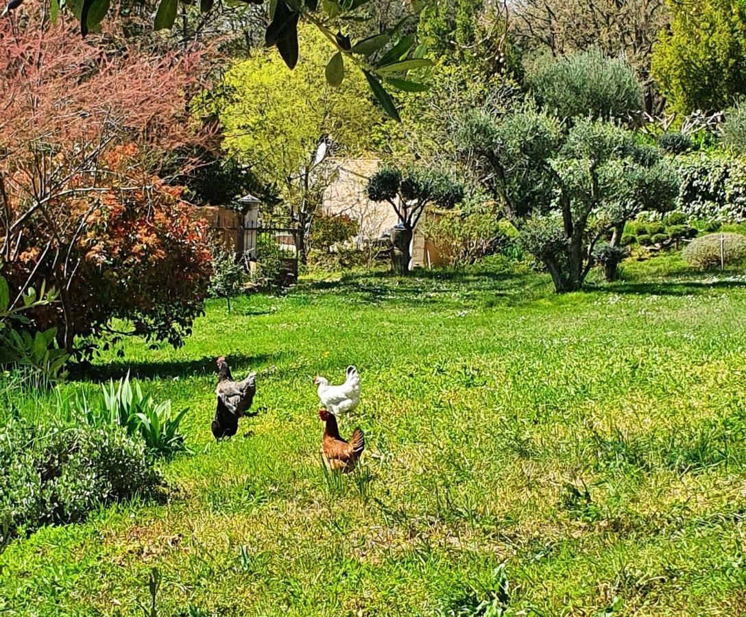 Monteze Paradis Saint-Christol-lès-Alès Dış mekan fotoğraf